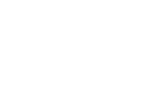 logo berria surf